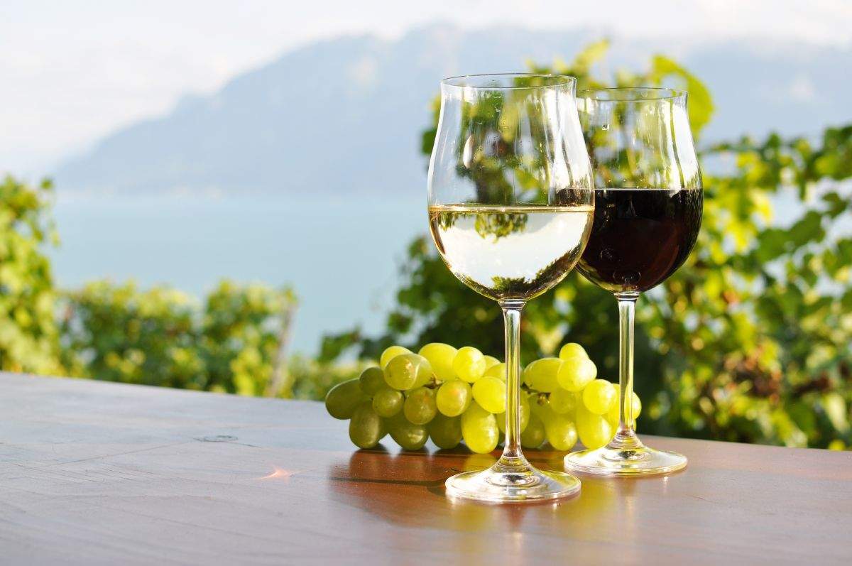 Dachser ofrece servicios de optimización global dentro de toda la cadena de suministro de la industria del vino, desde el viñedo hasta el estante